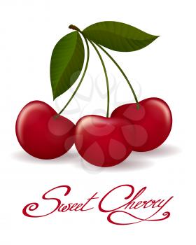 Cherry berries isolated. Fresh cherry fruit with leaf vector illustration