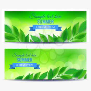 Horizontal flyer templates with green leaves, vector illustration