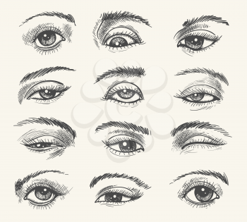 Vintage eyes. Vector human eye set old drawing for medicine and cosmetic illustrations in retro engraved style