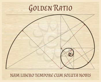 Fibonacci section spiral, golden proportion nature harmony vintage concept. Golden proportions ratio retro scroll drawing
