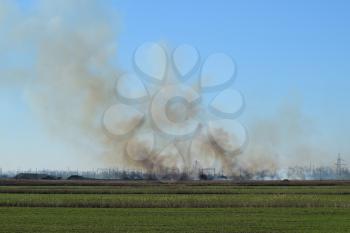 Fire on irrigation canals. Burning dry grass and cane fields in irrigation system.