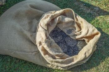 Bag of burlap and sunflower seeds. The bag on the grass.