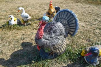 Toy turkeys and chickens in the meadow. Home decorations of the house.