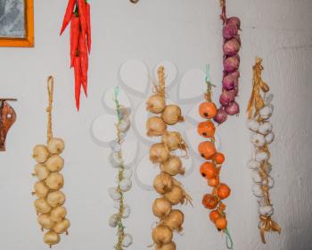 Drying hanging onion bulbs. Vegetables from his garden.