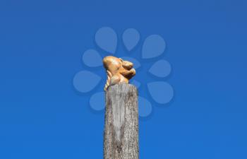 Figurine squirrel with a nut from a tree on a tree stump on a background of blue sky. Figures of animals made of wood. Woodcarving.