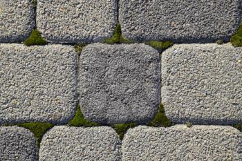 Industrial building background of paving slabs with overgrown with moss in the cracks. Texturing background.