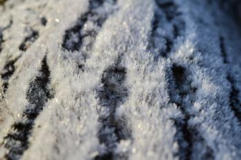 Hoarfrost on tree trunk surface. Winter morning dew and freezing.
