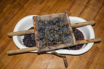 Manual mechanism for crushing grapes. Crush the grapes into juice and wine.