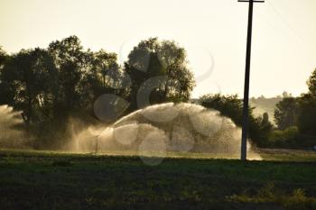 Irrigation system in field of melons. Watering the fields. Sprinkler.