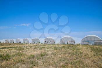 A group of greenhouses for growing tomatoes and cucumbers. Growing tomatoes in the greenhouse. Seedlings in the greenhouse. Growing of vegetables in greenhouses