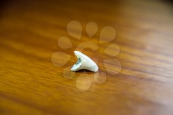 Tooth, metal ceramic crown on the table. Denture made of metal ceramics.