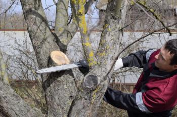 A man cut down an electric saw. The stump of saw cut branches.