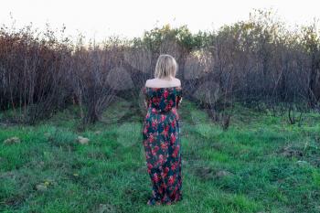 The lady on the background of dry trees. Woman in a dress