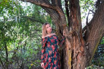 Lady under a big willow tree. Woman in a dress