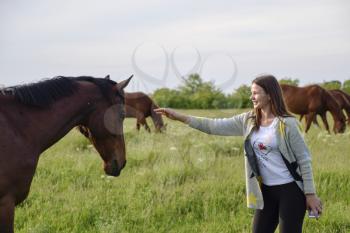 The girl is stroking the horse. Girl with horses in the pasture