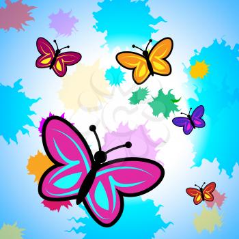 Colorful Butterflies Showing Vibrant Butterfly And Colors