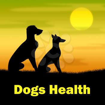 Dogs Health Representing Outdoor Grassland And Evening
