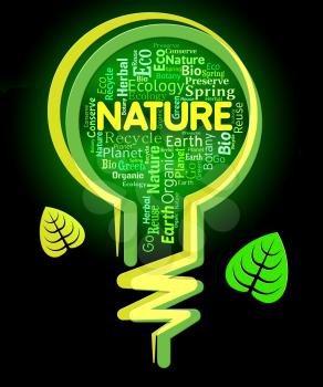 Nature Words Meaning Light Bulb And Countryside
