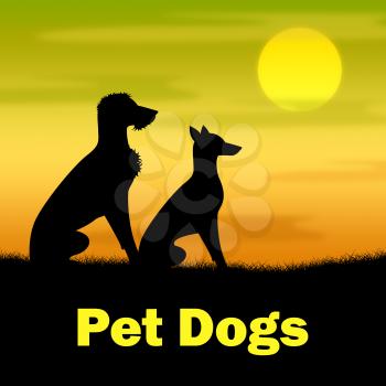 Pet Dogs Showing Domestic Animal And Field