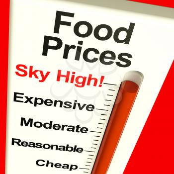 Food Prices High Monitor Showing Expensive Grocery Cost