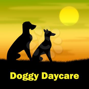 Doggy Daycare Indicating Grassy Canines And Night