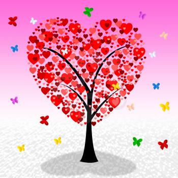 Hearts Tree Meaning Valentine Day And Nature