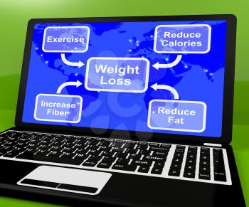 Weight Loss Diagram On Laptop Shows Exercise And Calories