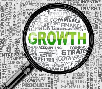 Growth Magnifier Representing Searches Magnify And Develop