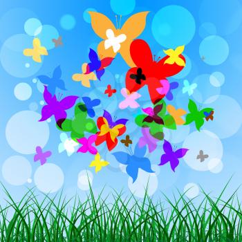 Butterflies Background Indicating Summer Time And Template