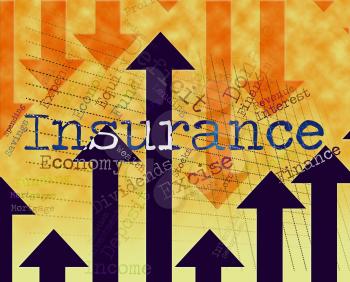 Insurance Word Meaning Insured Indemnity And Indemnities 