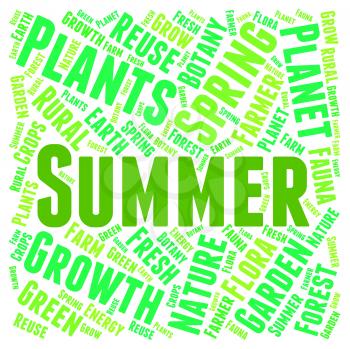 Summer Word Showing Hot Weather And Warm