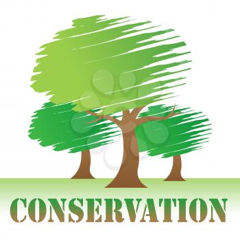 Conservation Trees Showing Earth Friendly And Nature