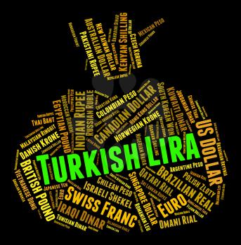 Turkish Lira Meaning Exchange Rate And Currencies