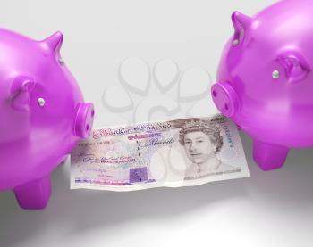 Piggybanks Fighting Over Money Showing Savings Or Budget