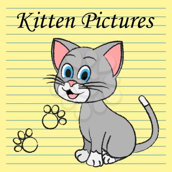 Kitten Pictures Showing Felines Pets And Cats