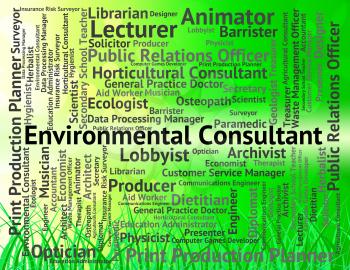 Environmental Consultant Representing Authority Words And Work