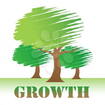 Growth Trees Meaning Natural Improvement Or Reforestation