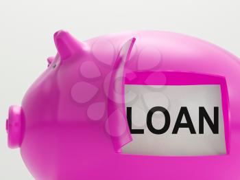 Loan Piggy Bank Meaning Money Borrowed Or Creditor