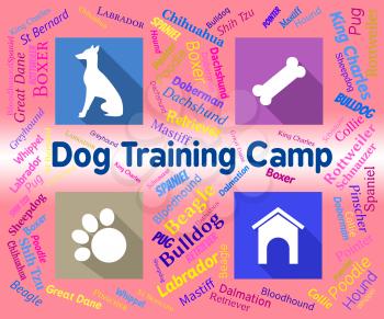 Dog Training Camp Meaning Puppy Pedigree And Doggy