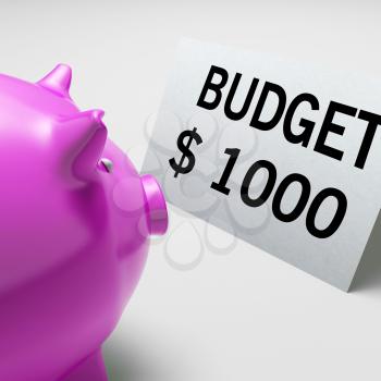 Budget Dollars Showing Spending And Costs Savings Target