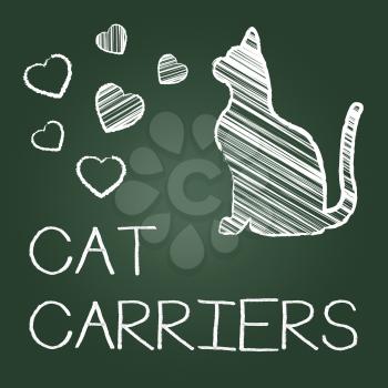 Cat Carriers Showing Box Pets And Container