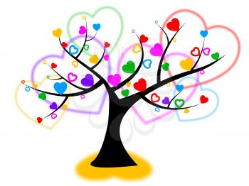 Heart Tree Meaning Valentine Day And Reforestation