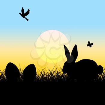 Easter Eggs Meaning Blank Space And Rabbits