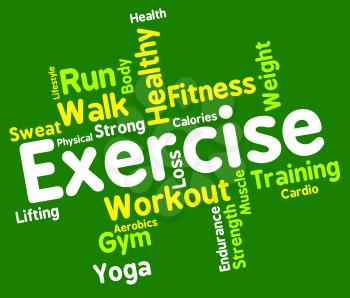 Exercise Words Indicating Physical Activity And Training 