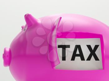 Tax In Piggy Showing Taxation Savings Taxpayer