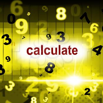 Counting Calculation Meaning One Two Three And Learn Arithmetic