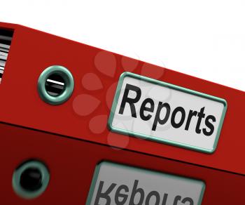 Reports File Meaning Data Records And Files