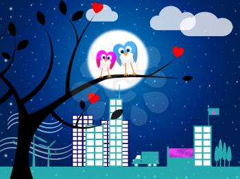 Night Birds Showing Find Love And Evening