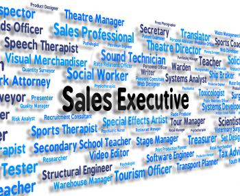 Sales Executive Indicating Managing Director And Hire
