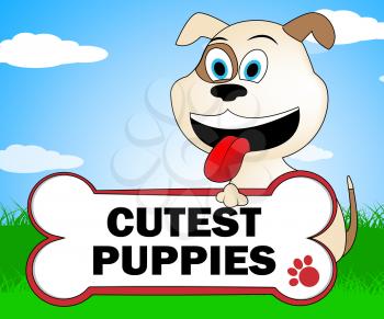 Cutest Puppies Showing Canines And Lovely Dogs